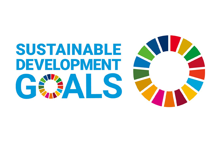 SUSTAINABLE DEVELOPMENT GOALS